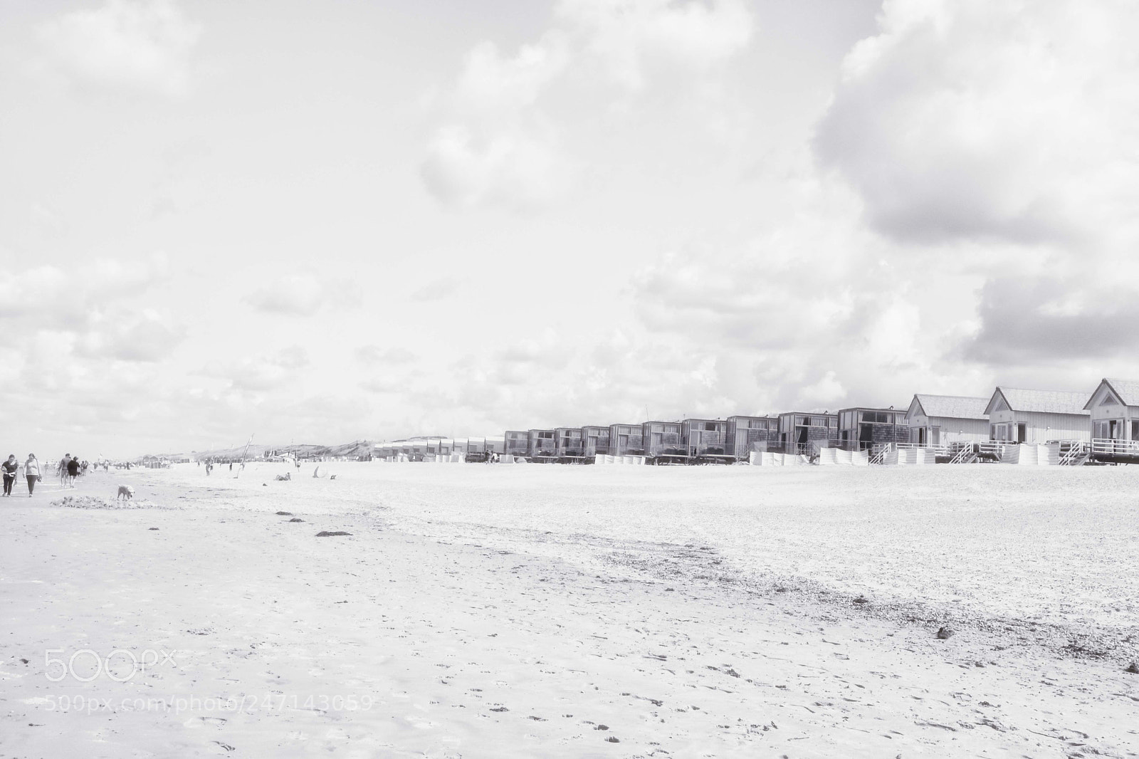 Nikon D7500 sample photo. Walking the beach photography