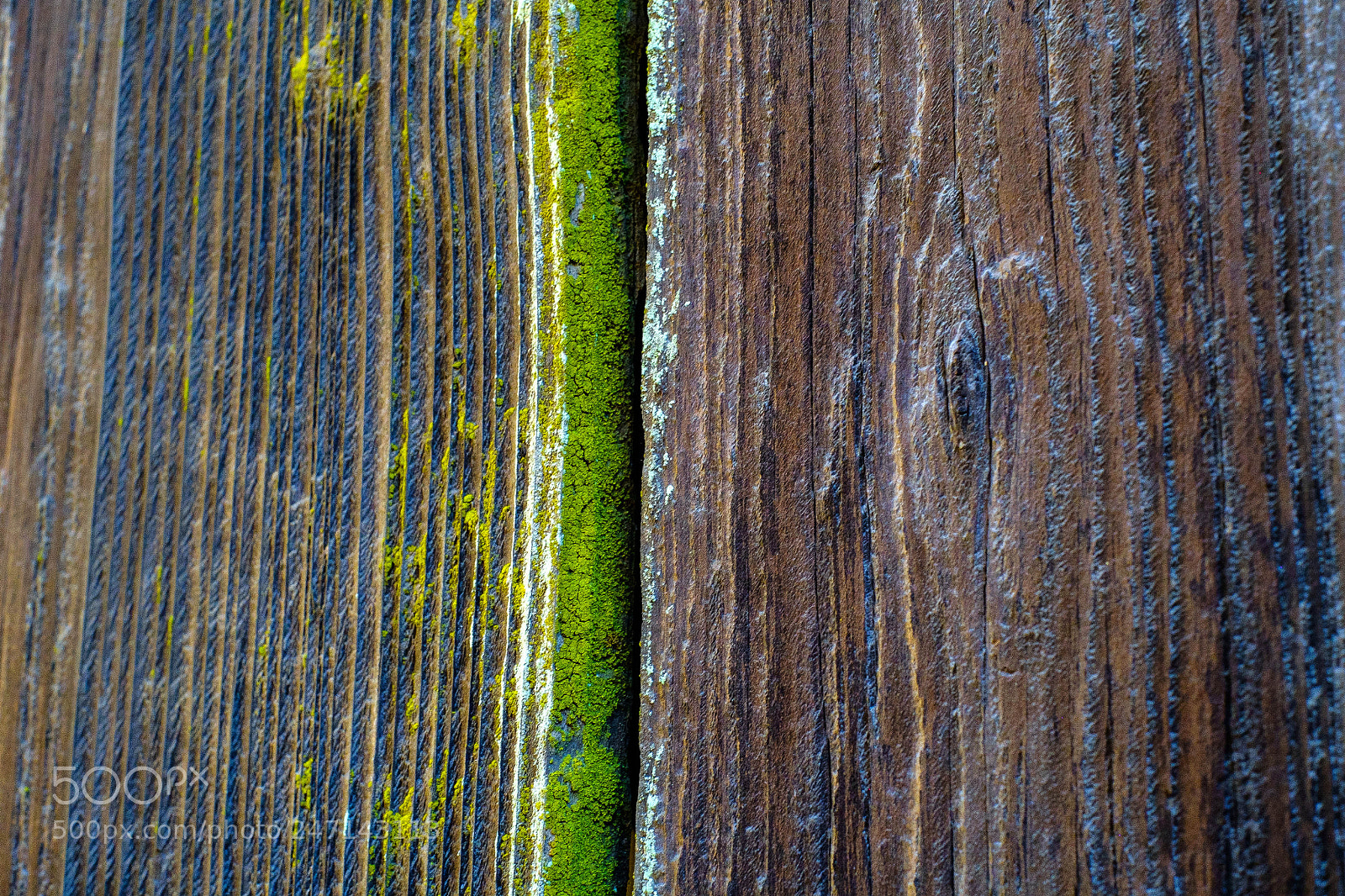 Fujifilm X-Pro1 sample photo. Green line photography