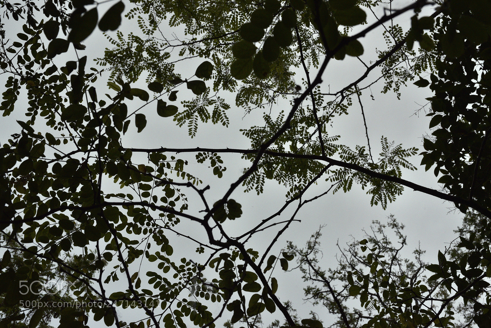 Nikon D750 + Sigma 35mm F1.4 DG HSM Art sample photo. Dsc photography
