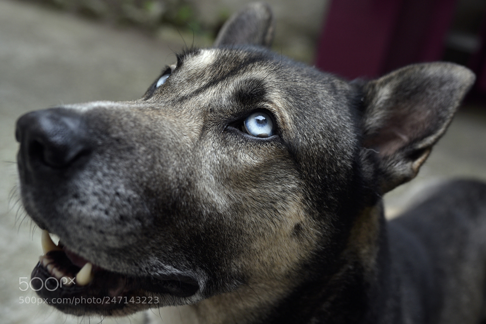 Sigma 35mm F1.4 DG HSM Art sample photo. Dsc photography