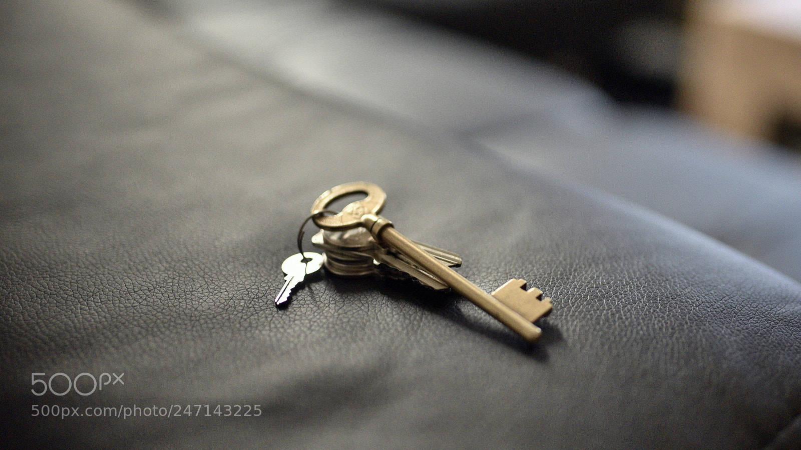 Nikon D750 + Sigma 35mm F1.4 DG HSM Art sample photo. Dsc photography