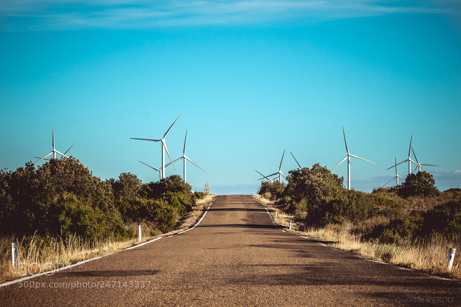 Nikon D5600 sample photo. Sur la route photography