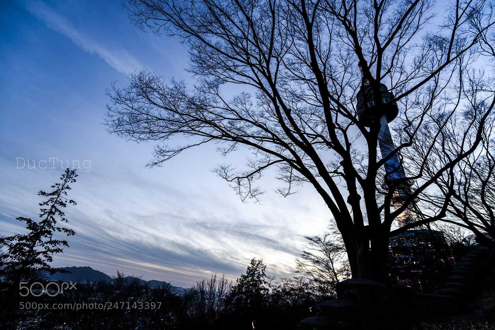 Sony a7 II sample photo. Namsan tower photography