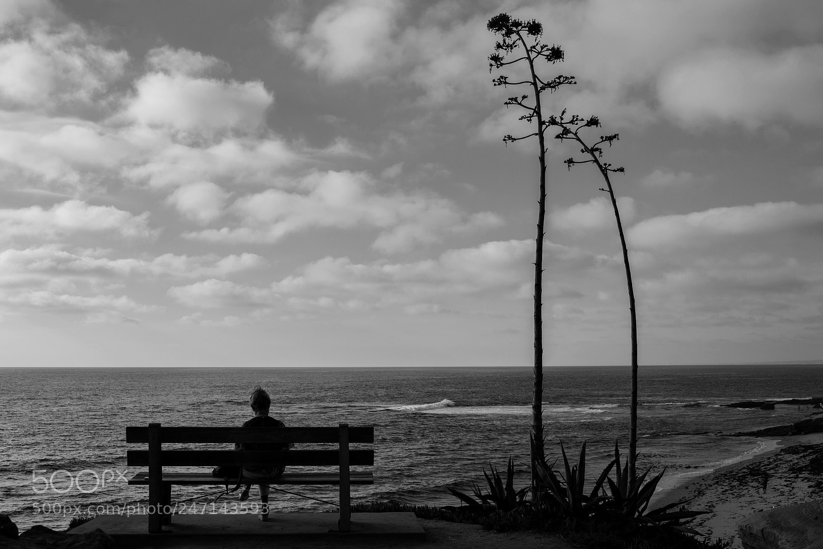 Nikon D600 sample photo. Untitled photography