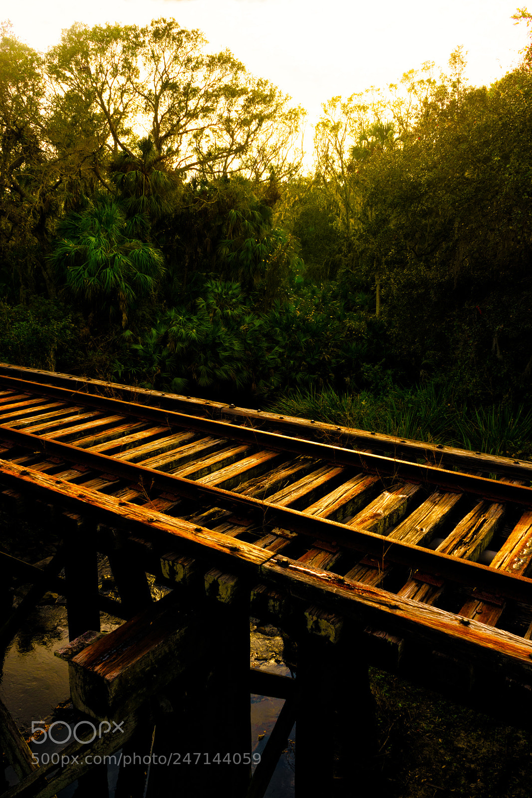 Sony a7 sample photo. You keep me on photography