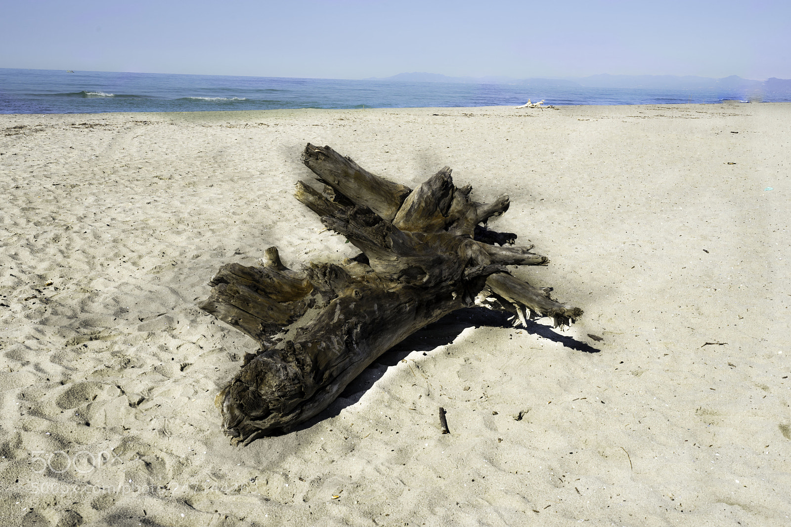 Sony a7 II sample photo. Vecchiano naufrago photography