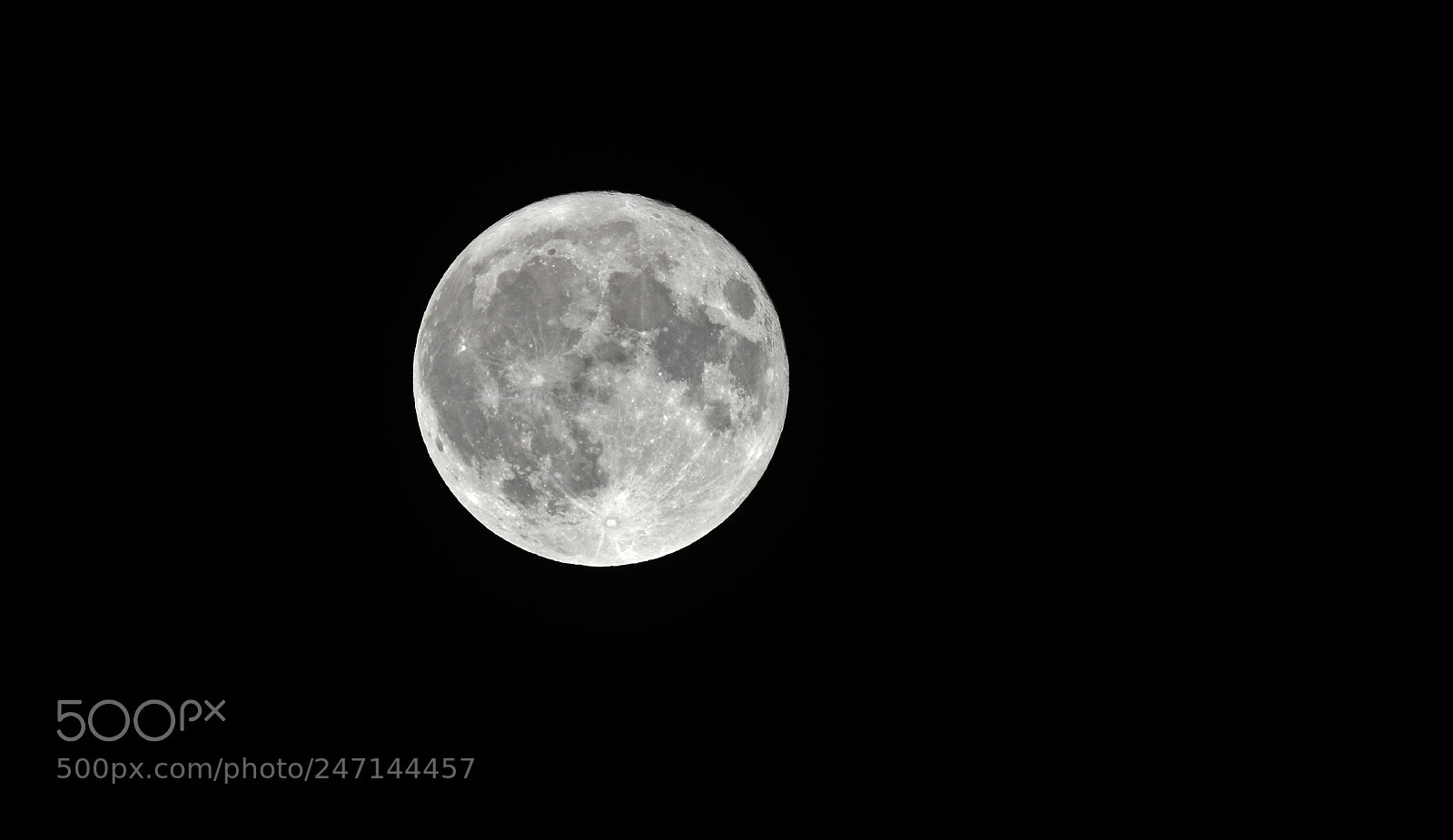 Nikon D850 sample photo. Full moon photography