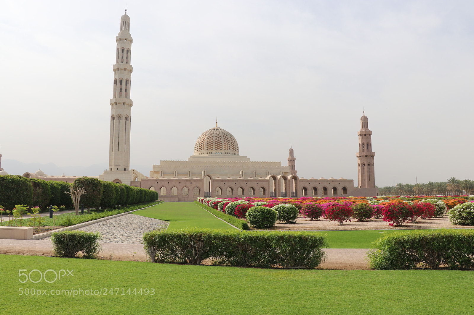 Canon EOS 80D sample photo. Oman . photography