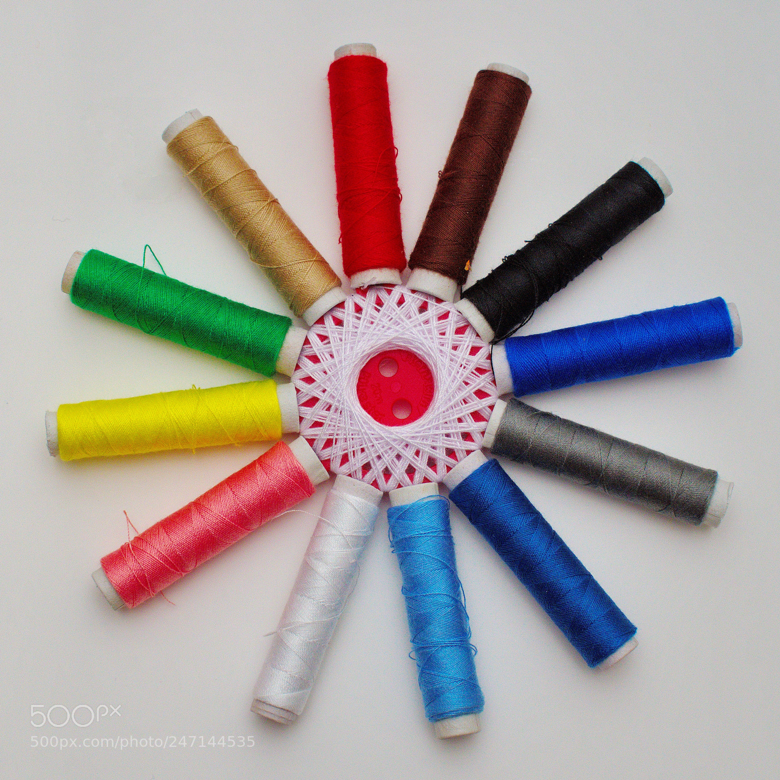 Nikon D5600 sample photo. Colours photography