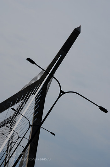 Nikon D60 sample photo. Td photography