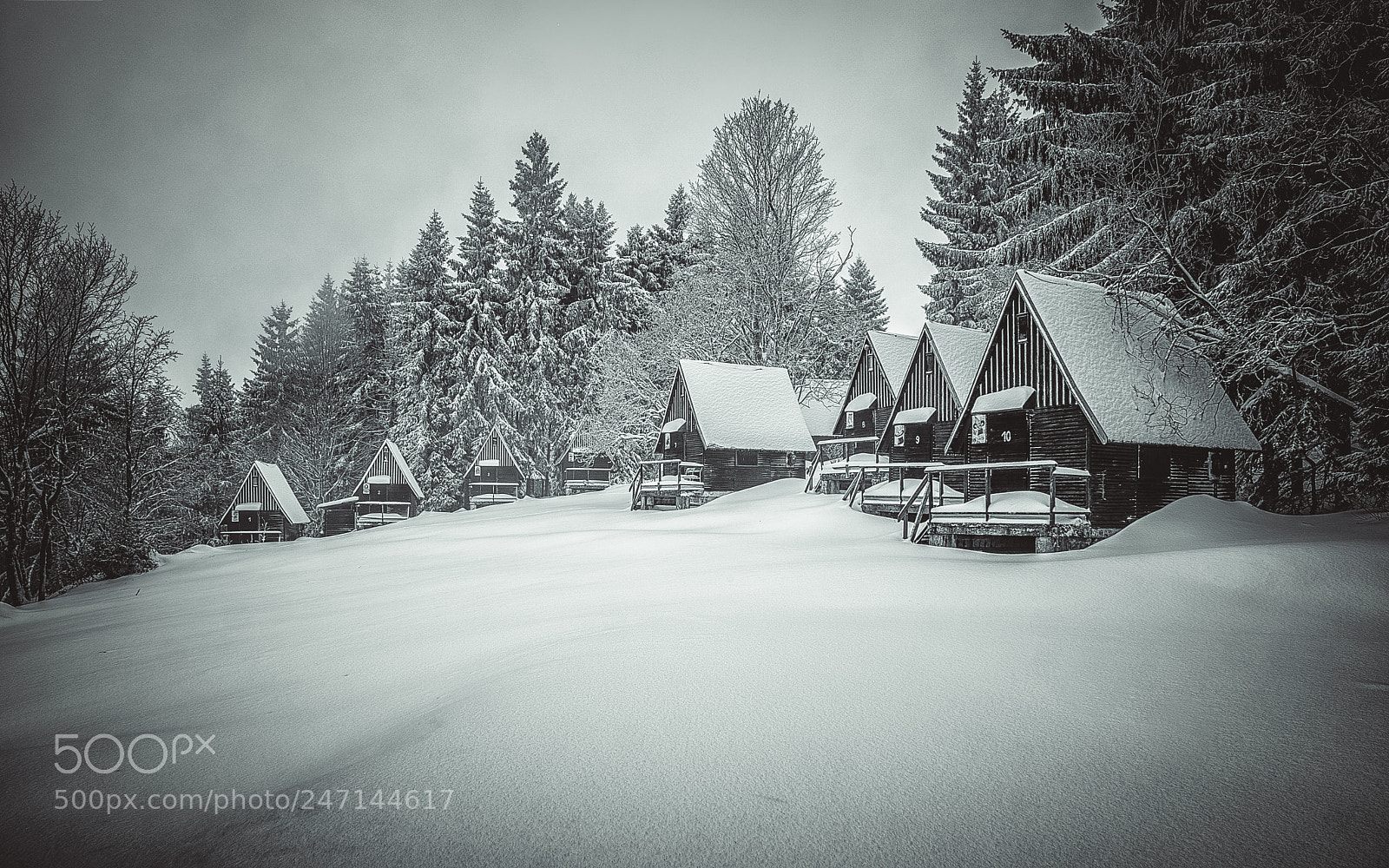 Fujifilm X-T2 sample photo. Romantic winter colony photography