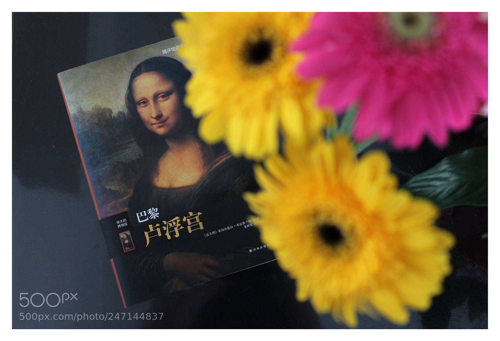 Canon EOS 500D (EOS Rebel T1i / EOS Kiss X3) sample photo. Chinese gioconda photography