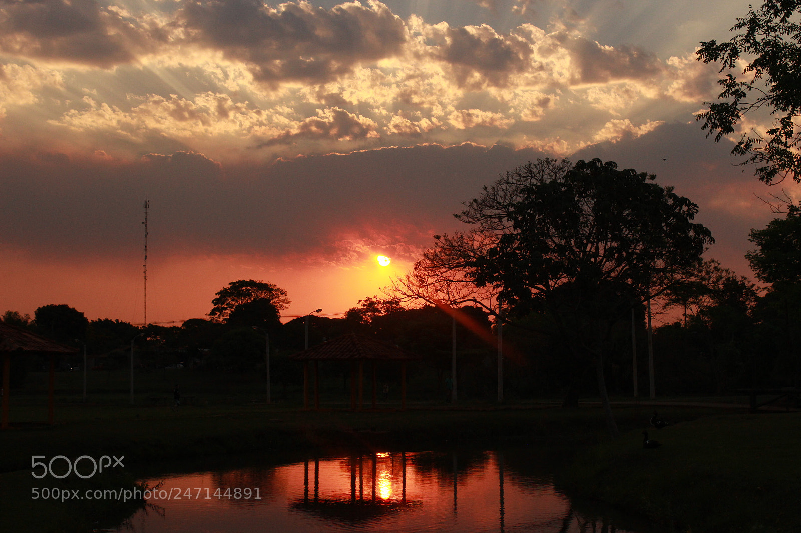Canon EOS 600D (Rebel EOS T3i / EOS Kiss X5) sample photo. Last sunshine photography