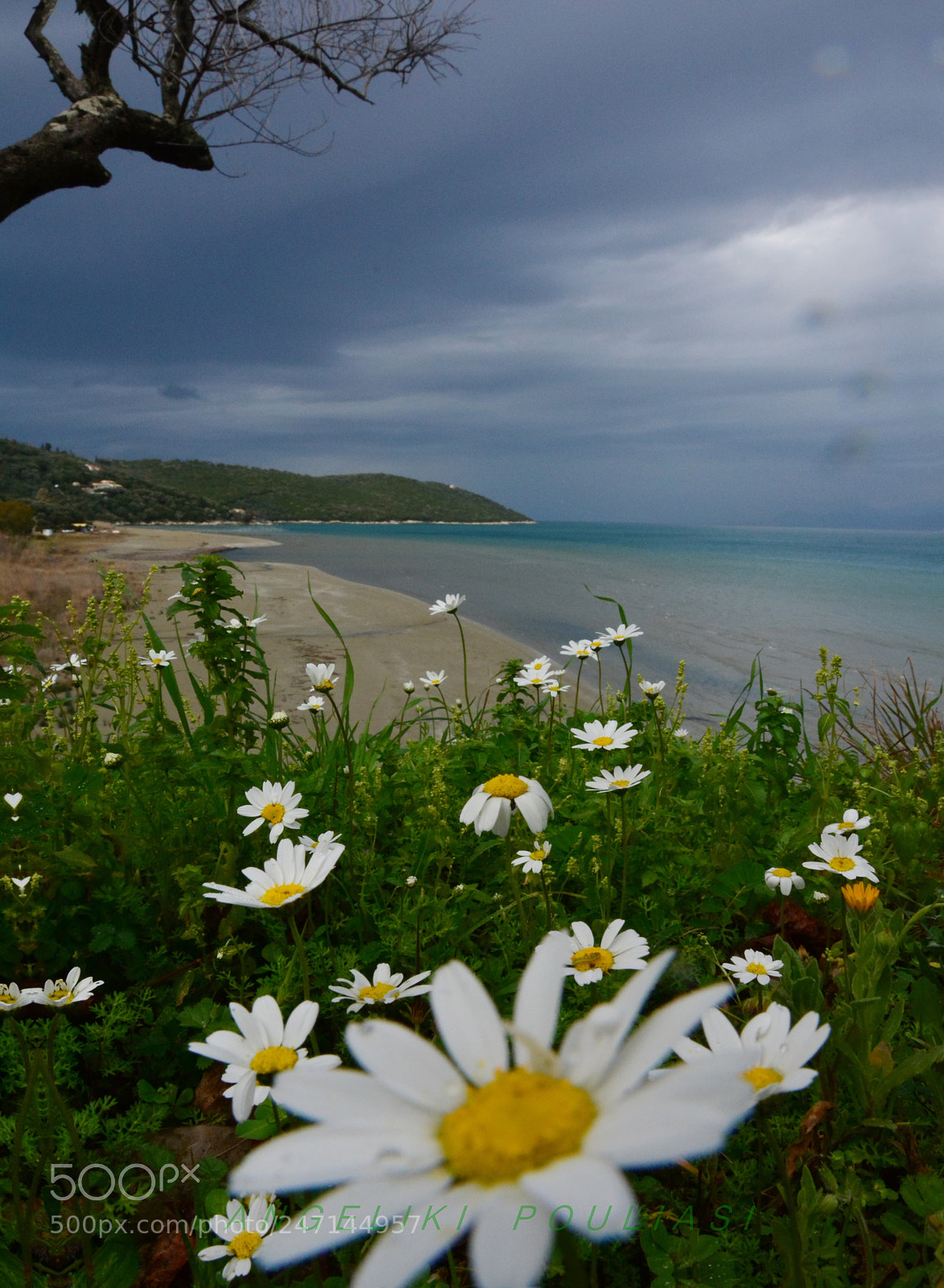 Nikon D7100 sample photo. Spring is here! photography
