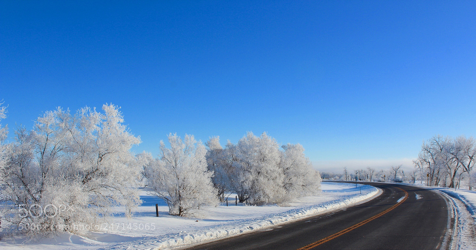 Canon EOS 600D (Rebel EOS T3i / EOS Kiss X5) sample photo. Winter frost commuter photography