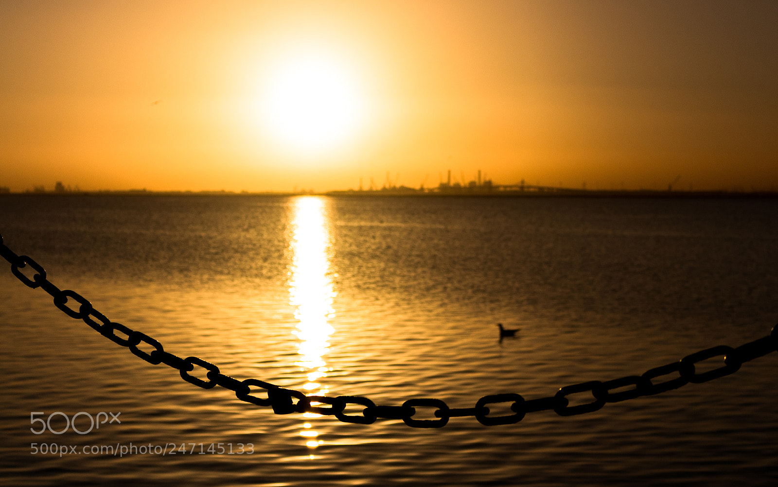 Canon EOS 700D (EOS Rebel T5i / EOS Kiss X7i) sample photo. After sunrise photography