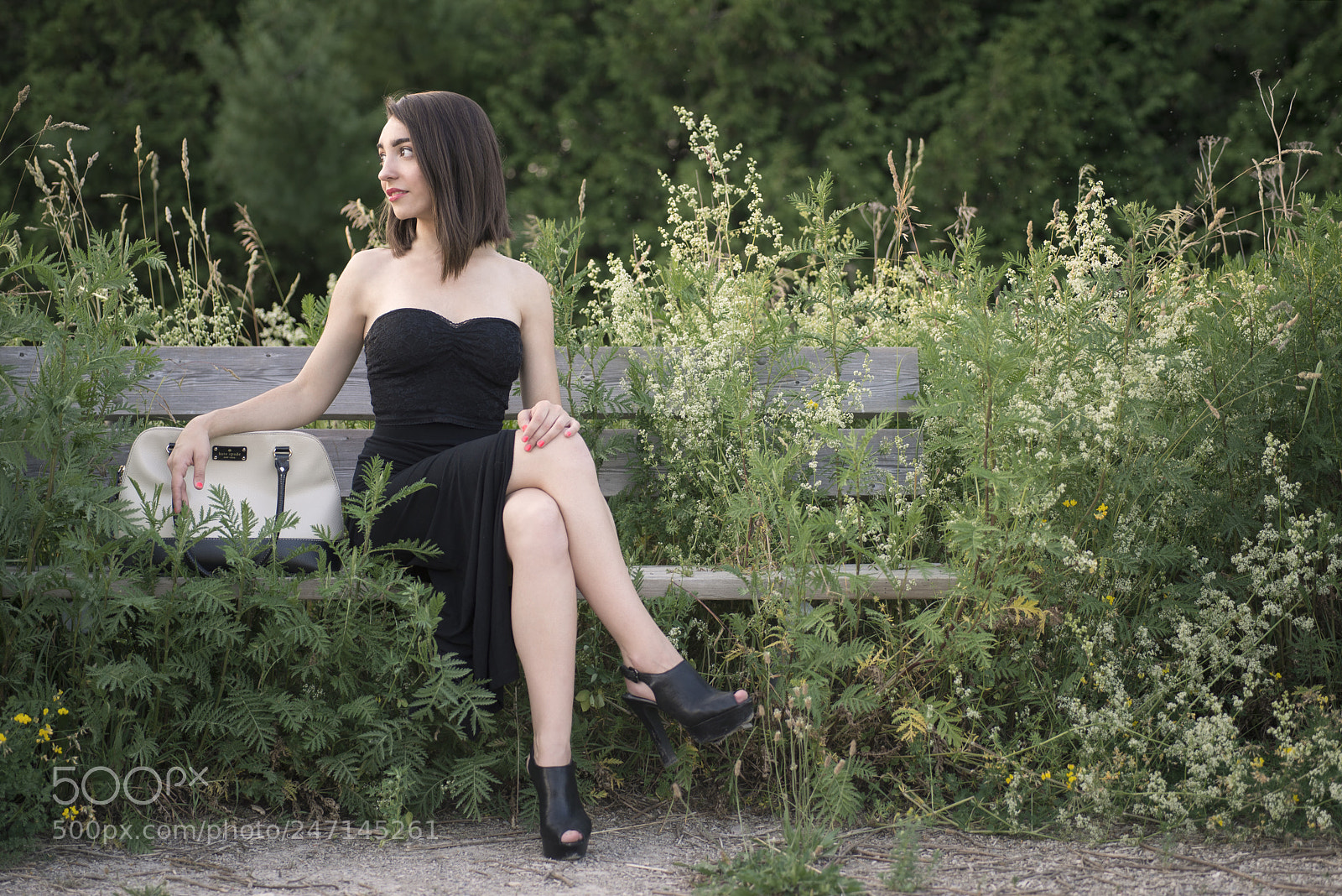 Nikon D800 sample photo. July summer photography