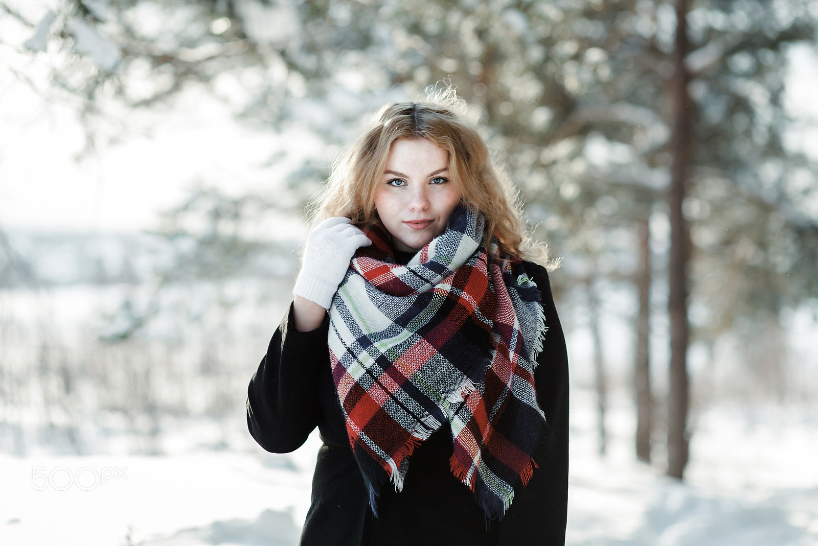 Canon EOS 5D sample photo. Untitled photography