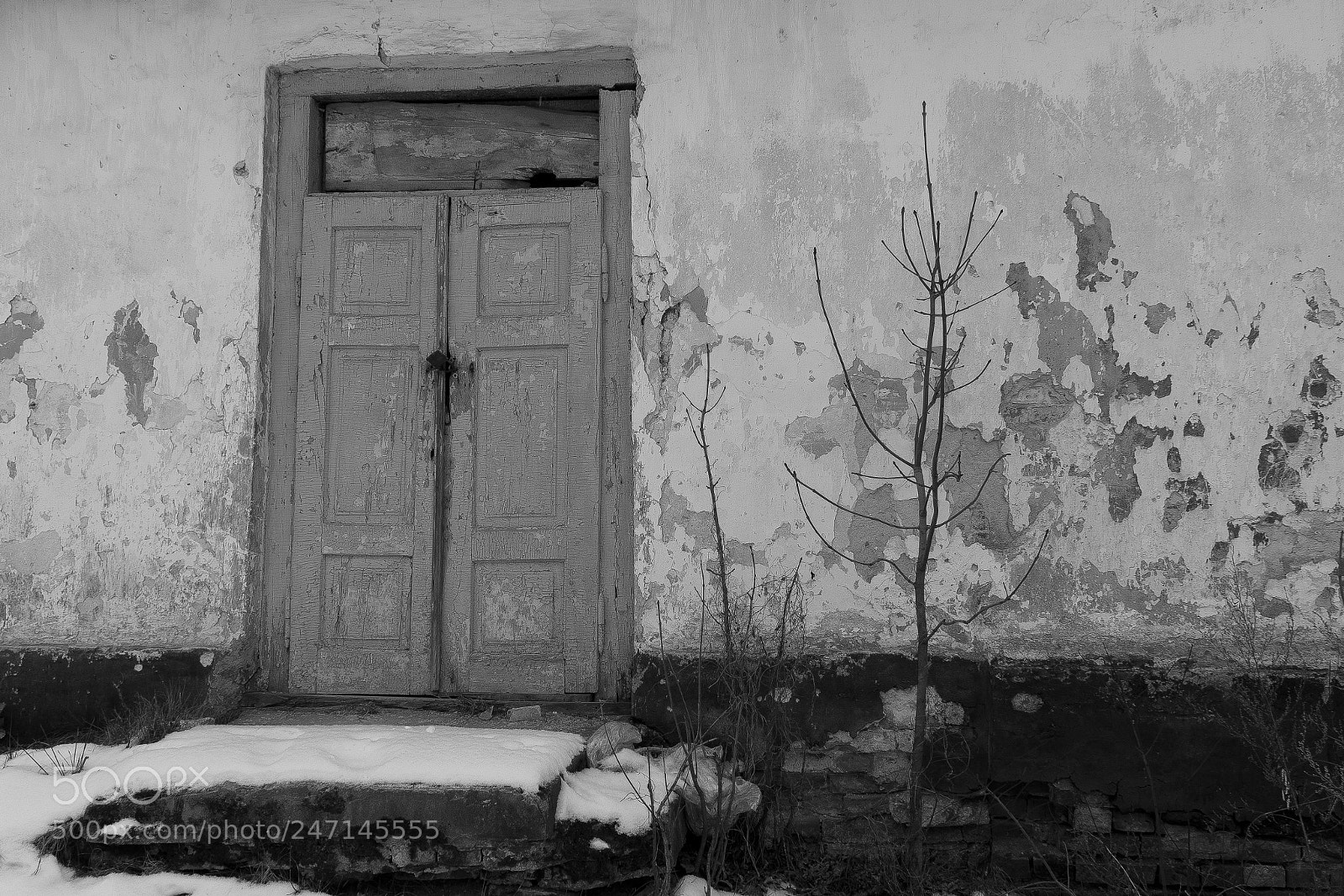 Sony a6300 sample photo. Door photography