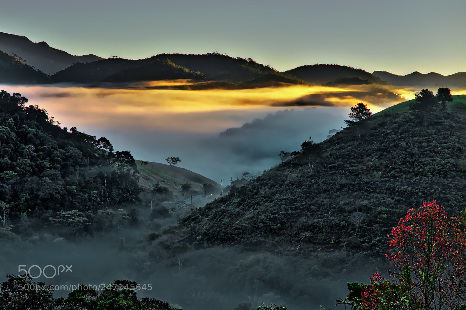 Canon PowerShot G1 X Mark II sample photo. Misty morning photography