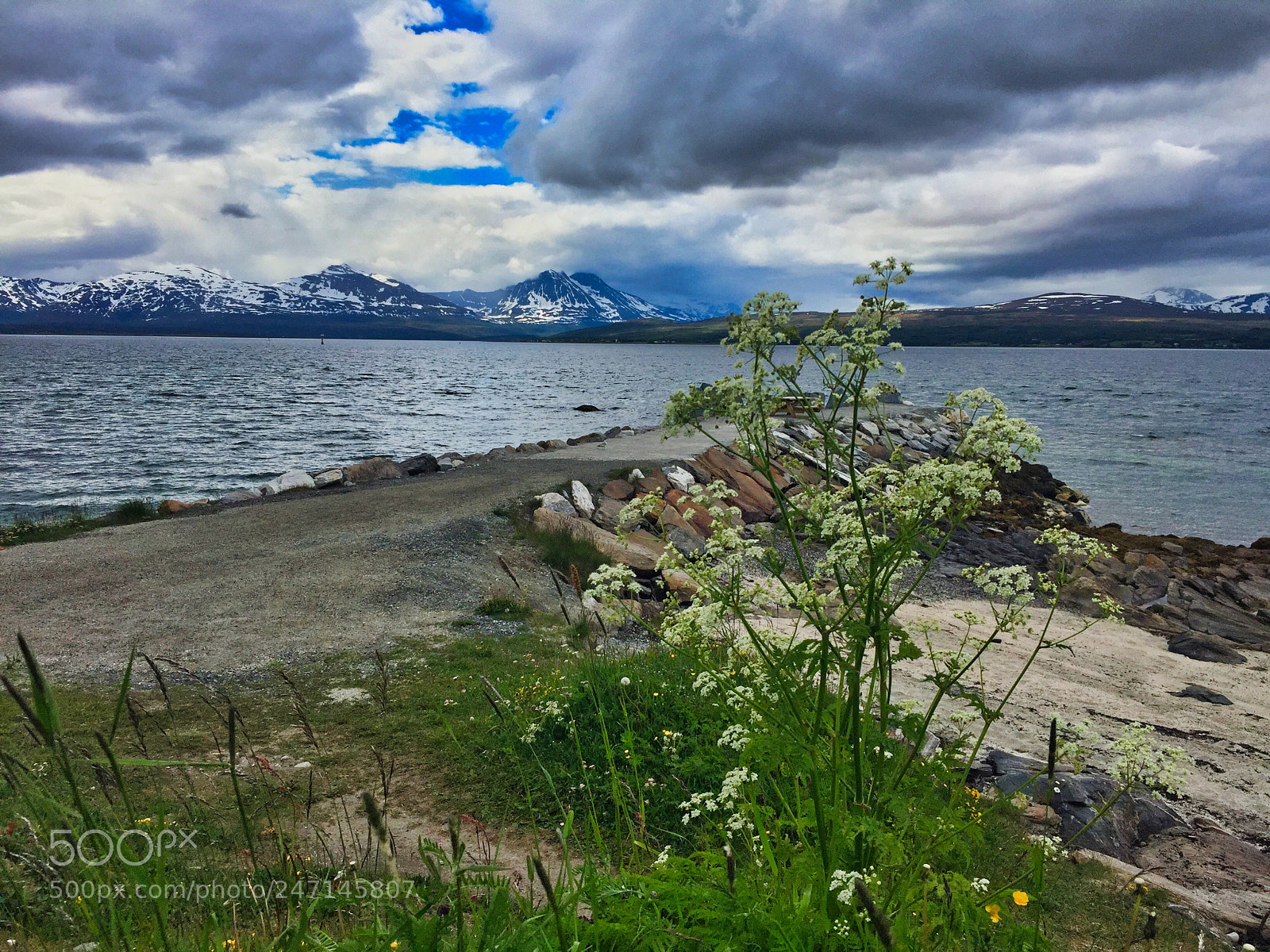 Apple iPhone 6 sample photo. A fjord in norway photography