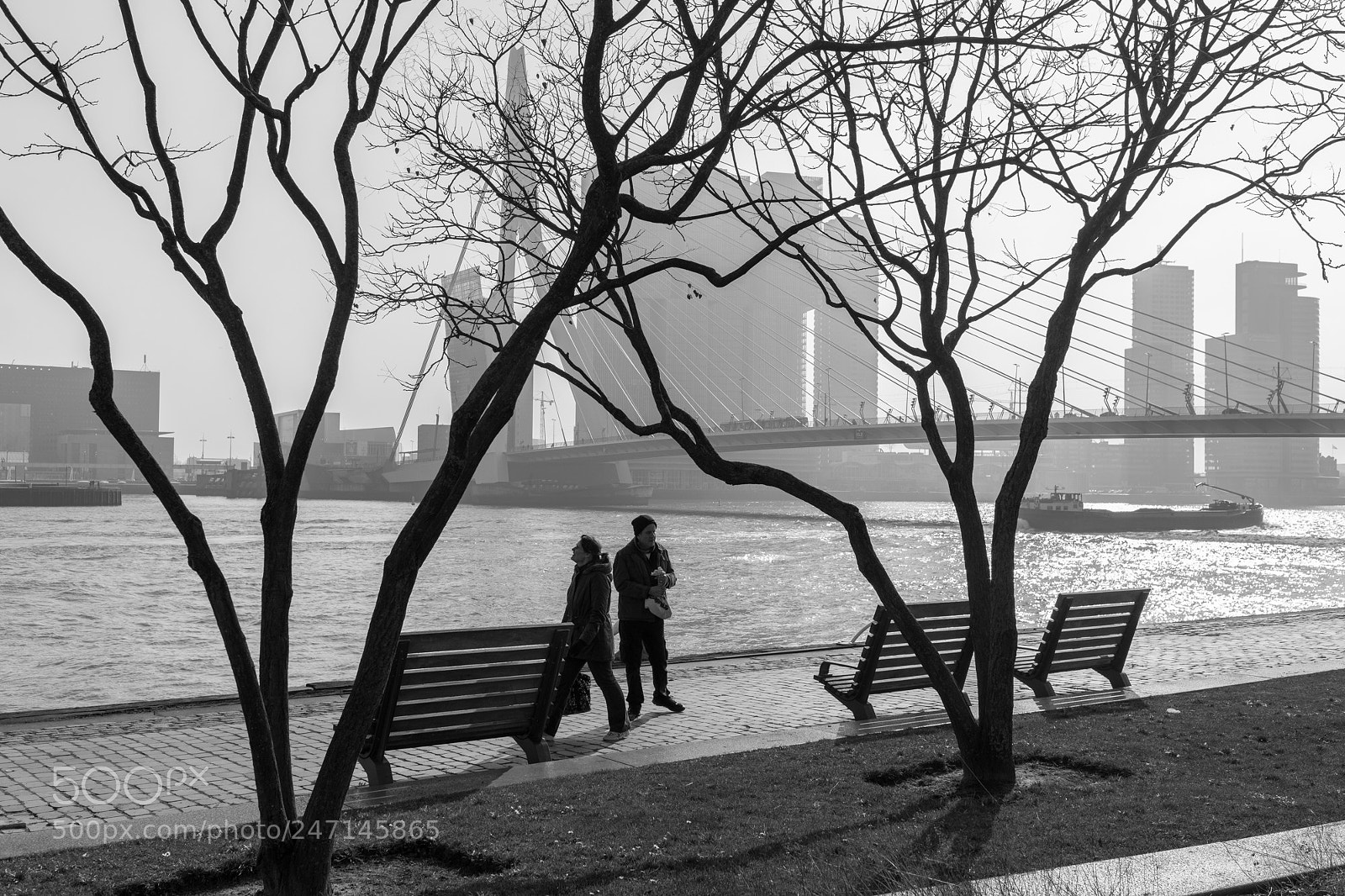 Fujifilm X-T2 sample photo. Rotterdam photography