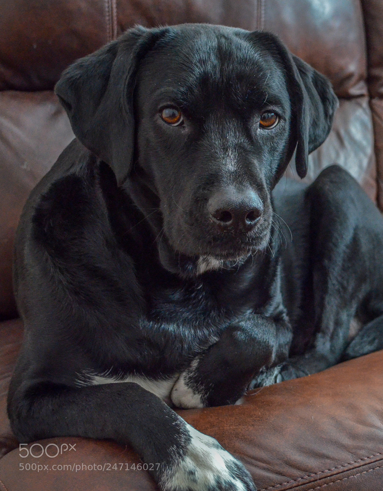 Nikon D5100 sample photo. Eli photography