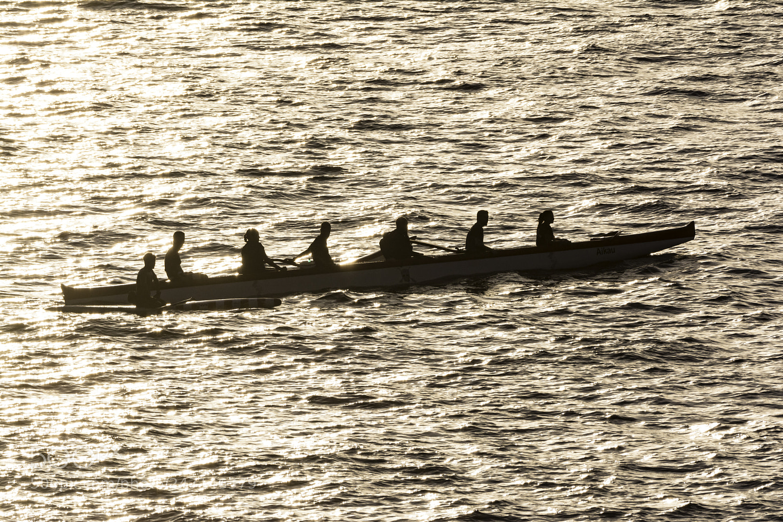 Nikon D7100 sample photo. Row photography