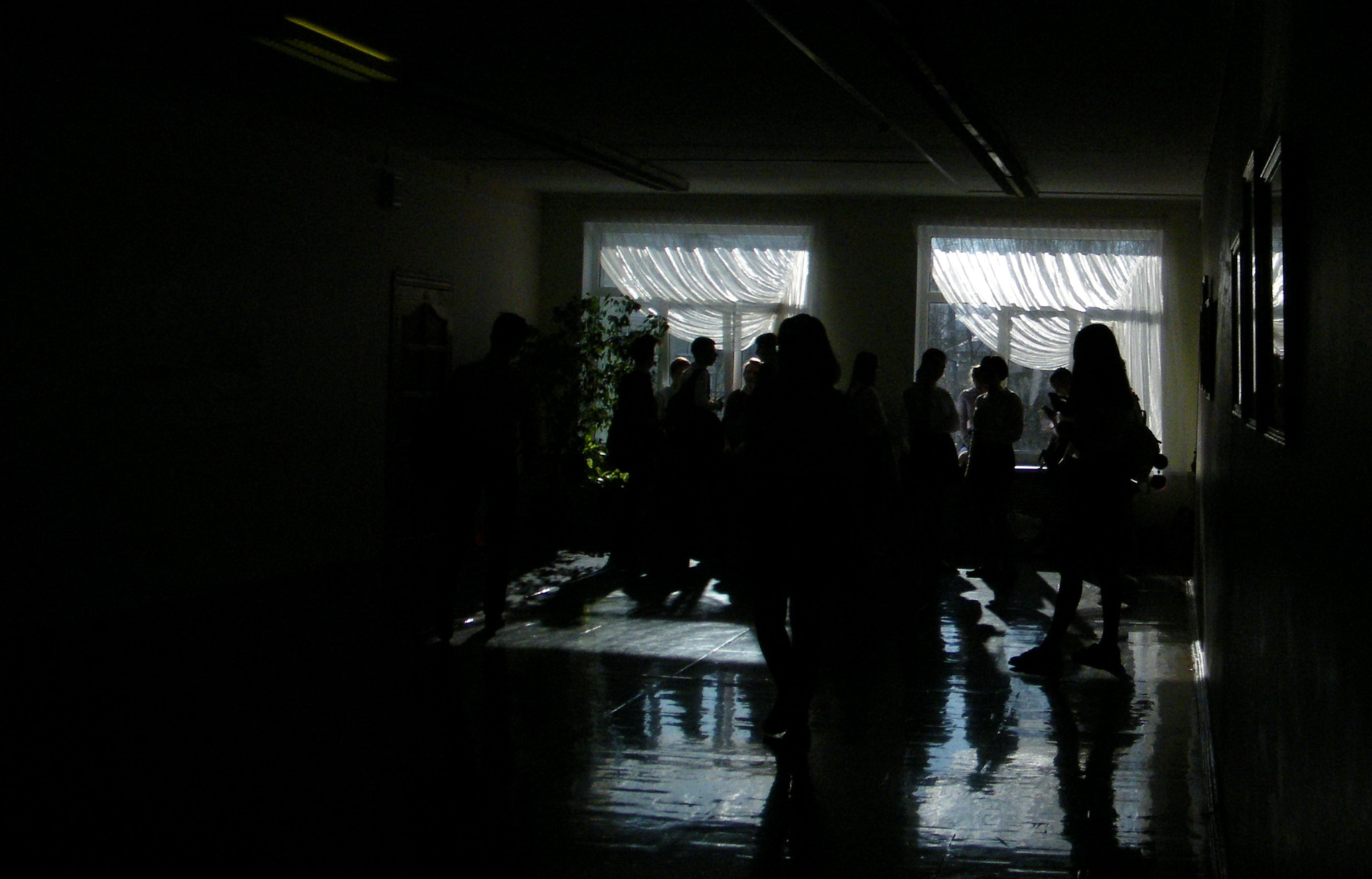 Fujifilm FinePix S2000HD sample photo. 6. photography