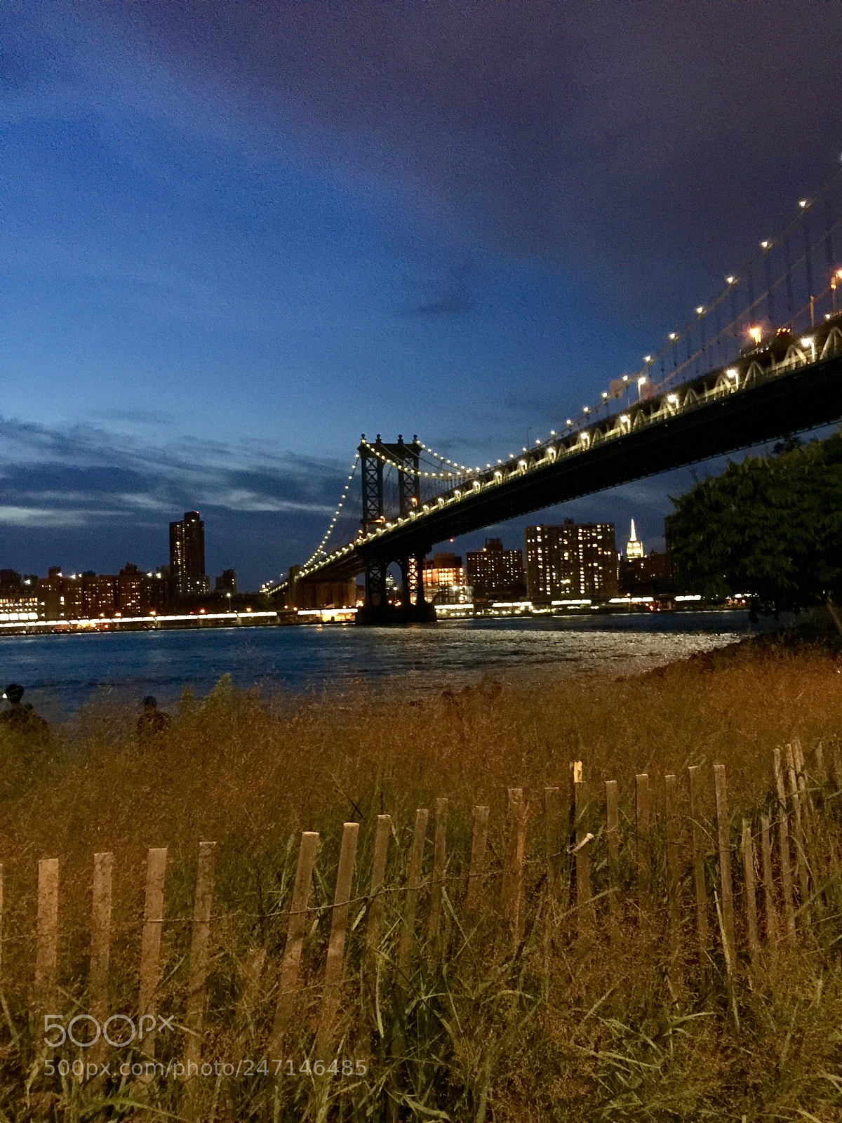 Apple iPhone 6 Plus sample photo. River down photography