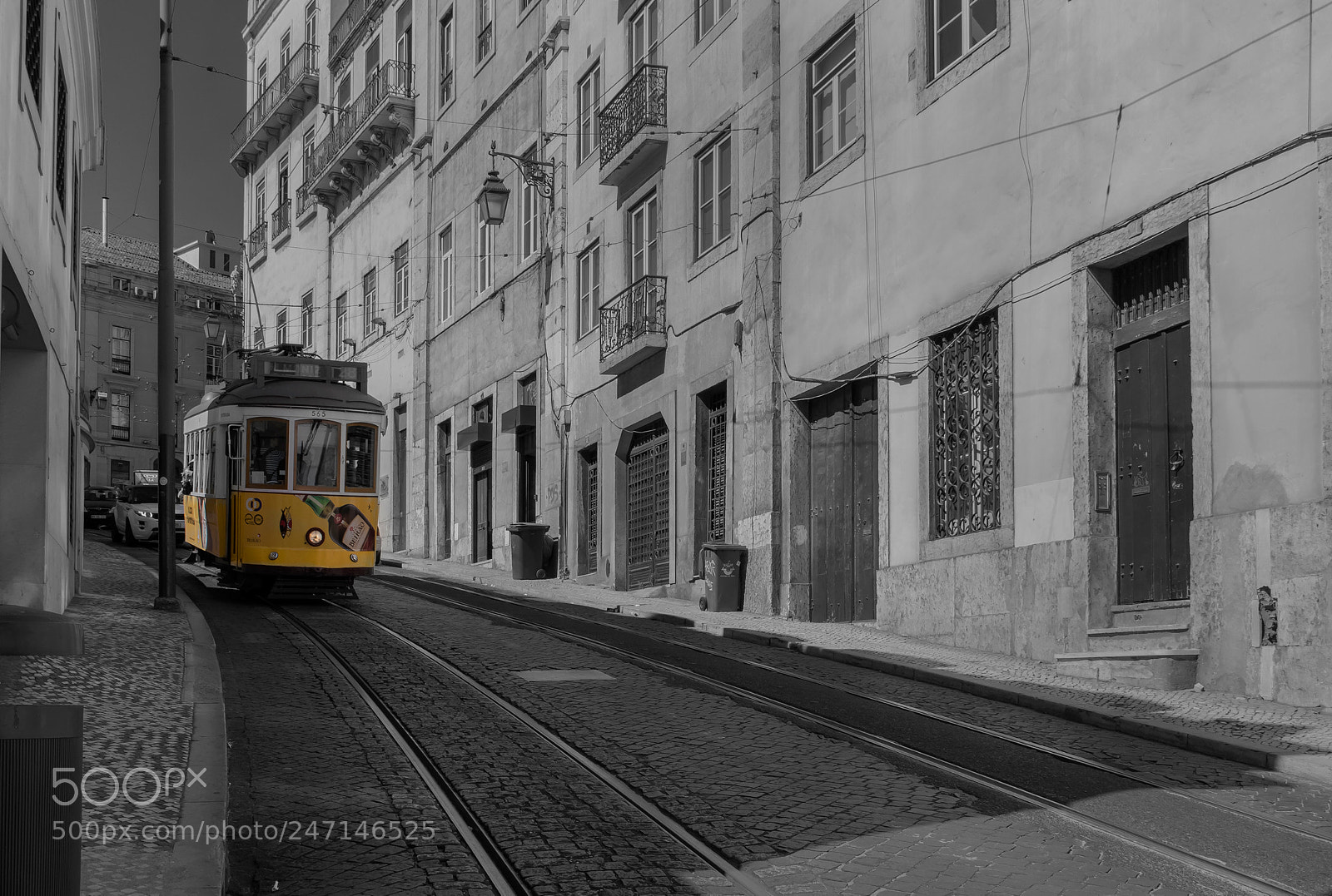 Nikon D810 sample photo. A yellow tram in photography