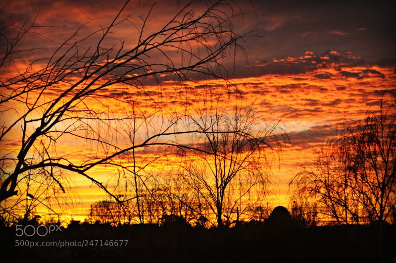 Nikon D3200 sample photo. Invierno photography