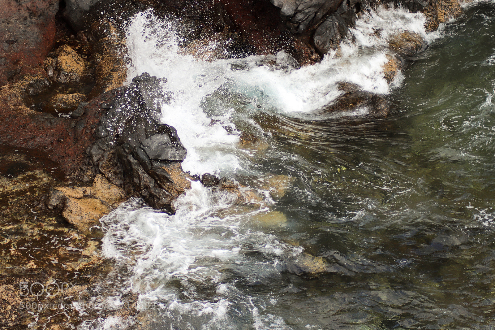 Canon EOS 77D (EOS 9000D / EOS 770D) sample photo. S. p. l. a photography