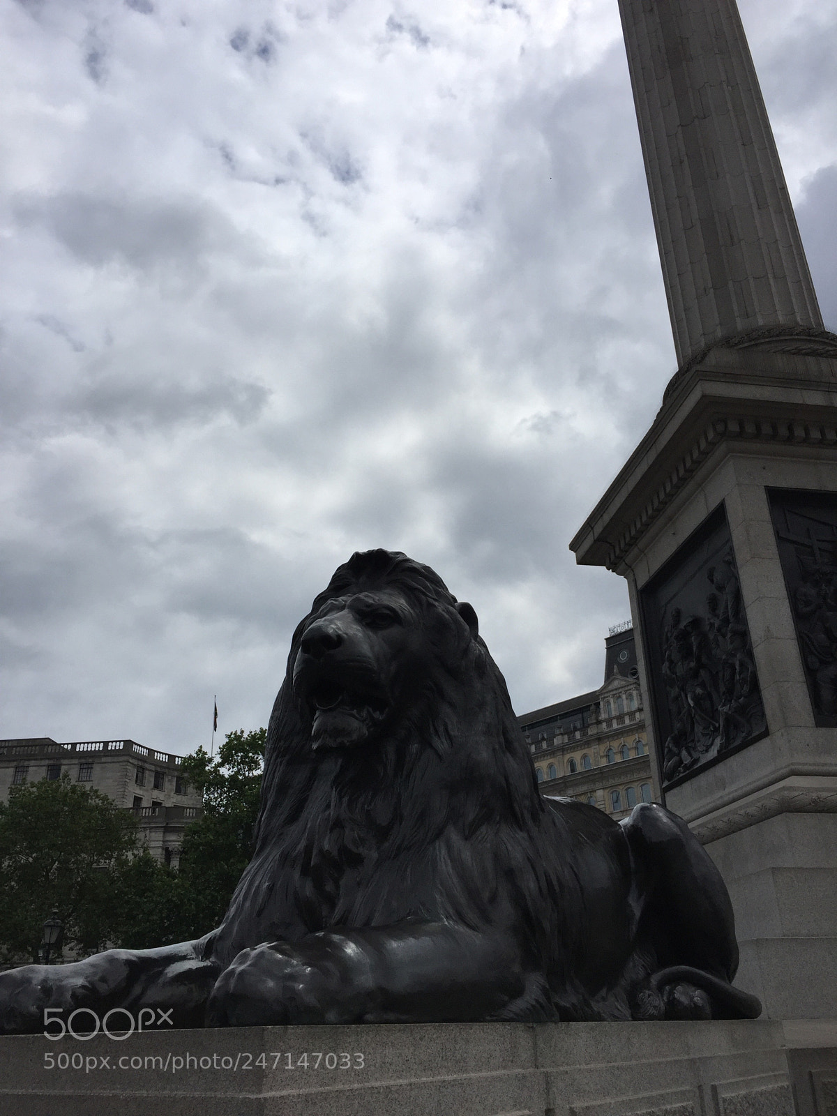 Apple iPhone 6 Plus sample photo. Nelson lionel photography