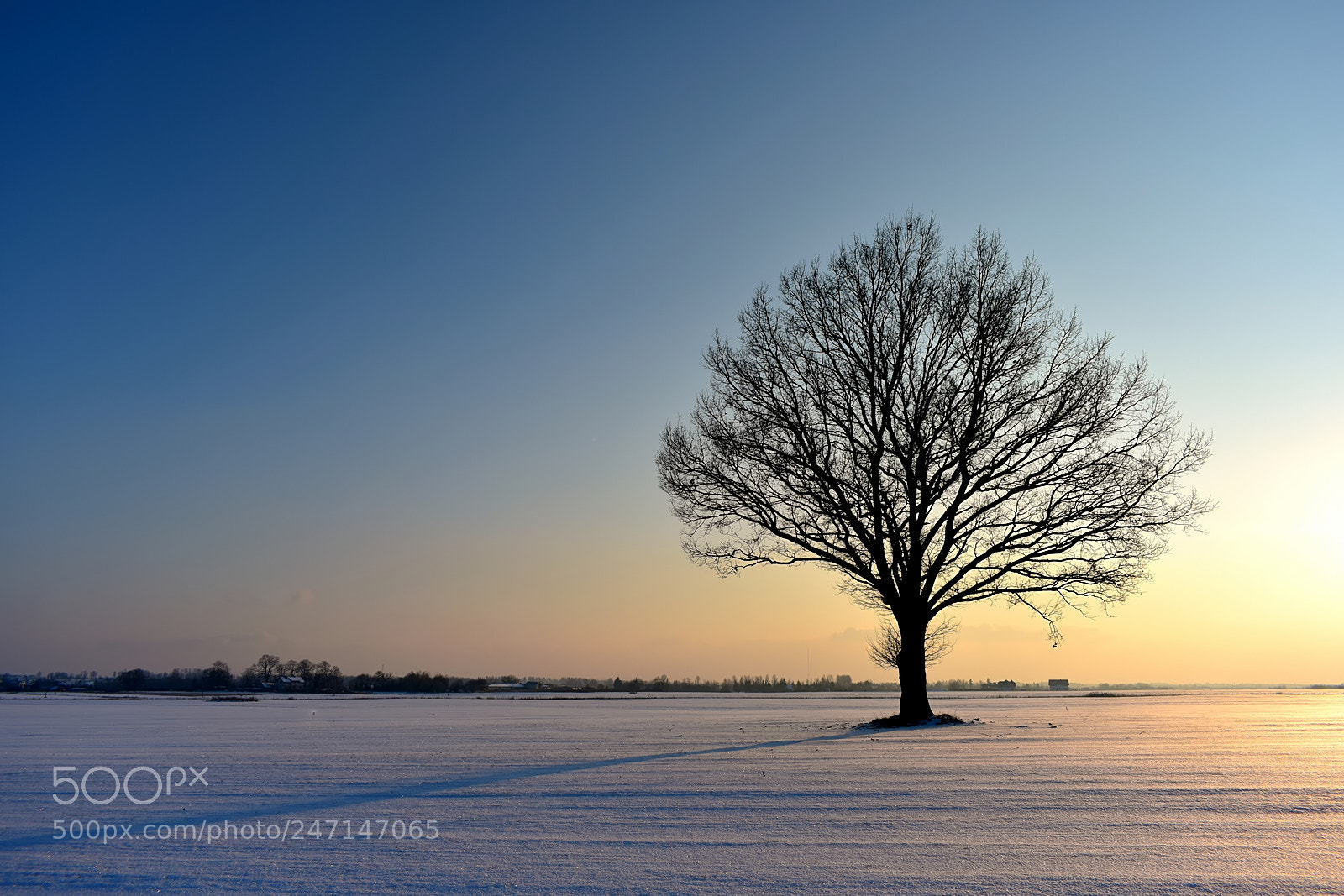 Nikon D3400 sample photo. Winter wonderland photography