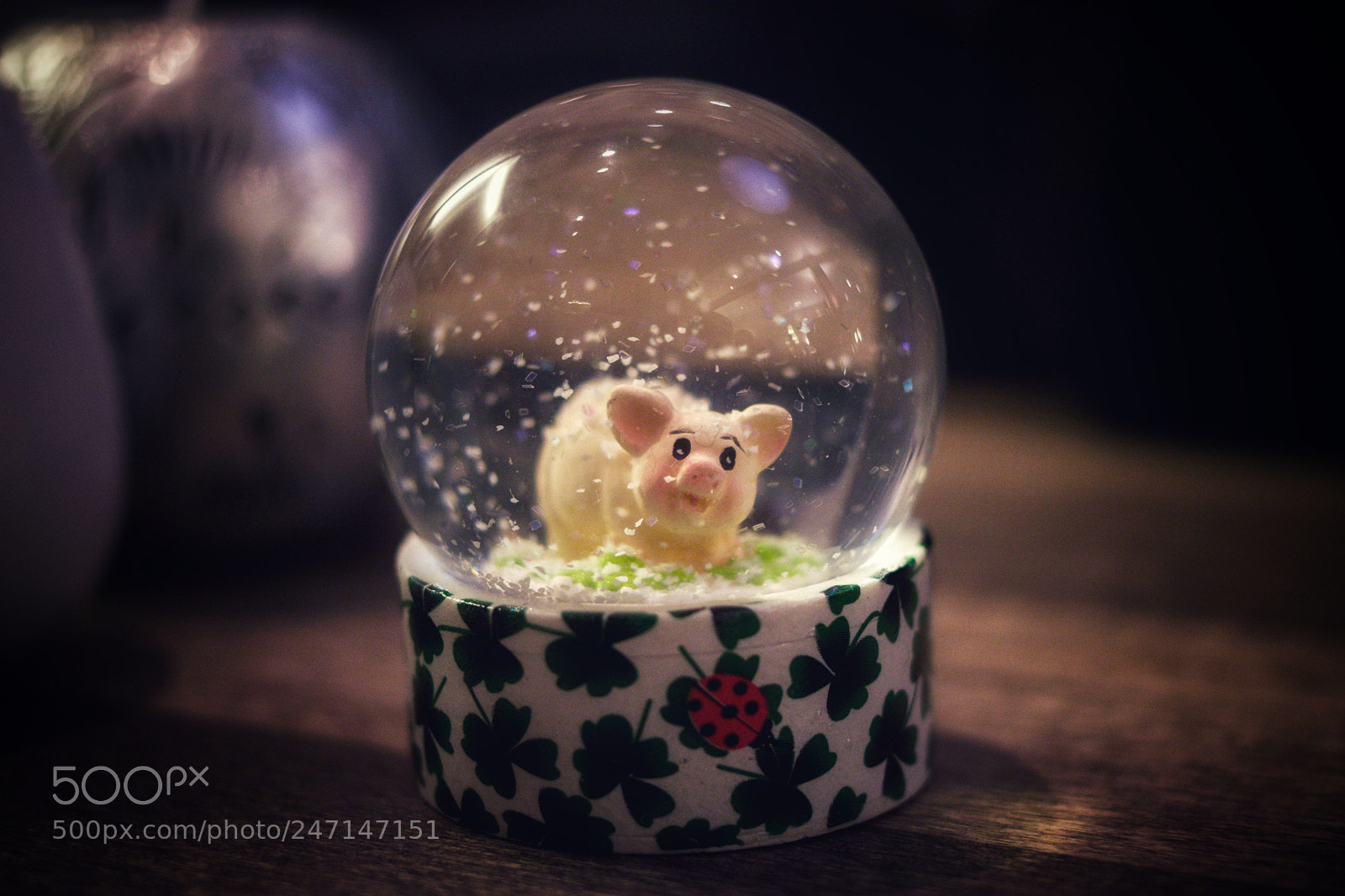 Pentax K-70 sample photo. Glückschwein schneekugel photography
