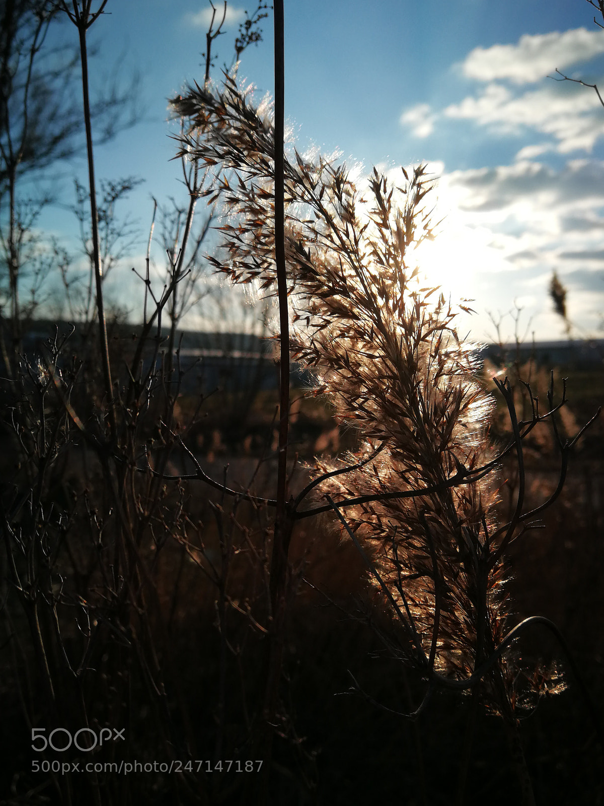 HUAWEI P10 sample photo. Hdr photography