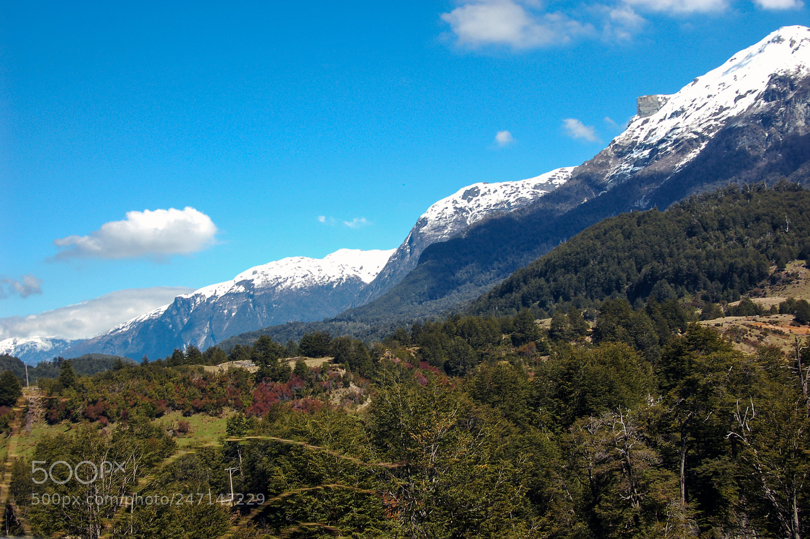 Nikon D50 sample photo. The andes photography