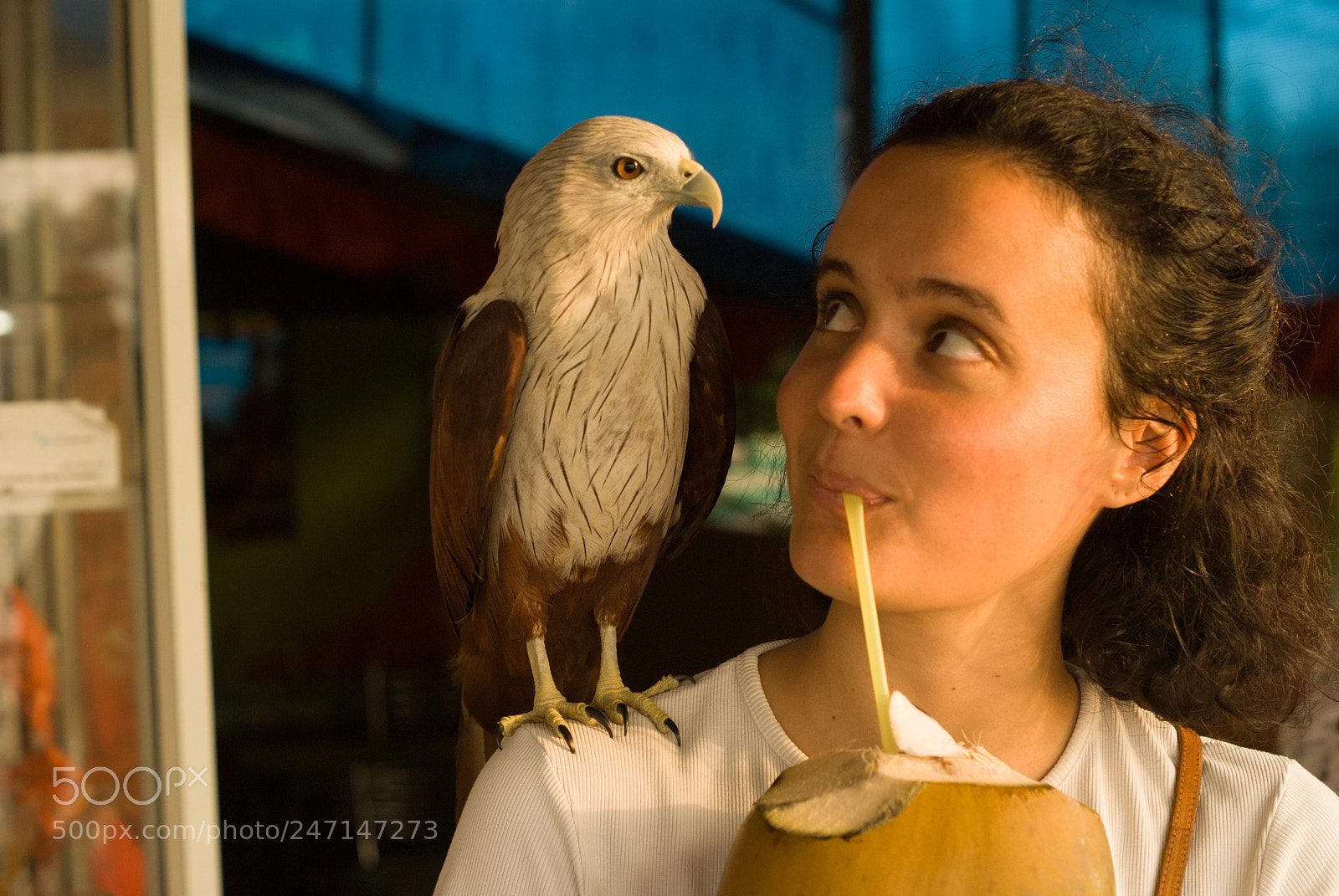 Sony Alpha DSLR-A330 sample photo. India - kerala photography