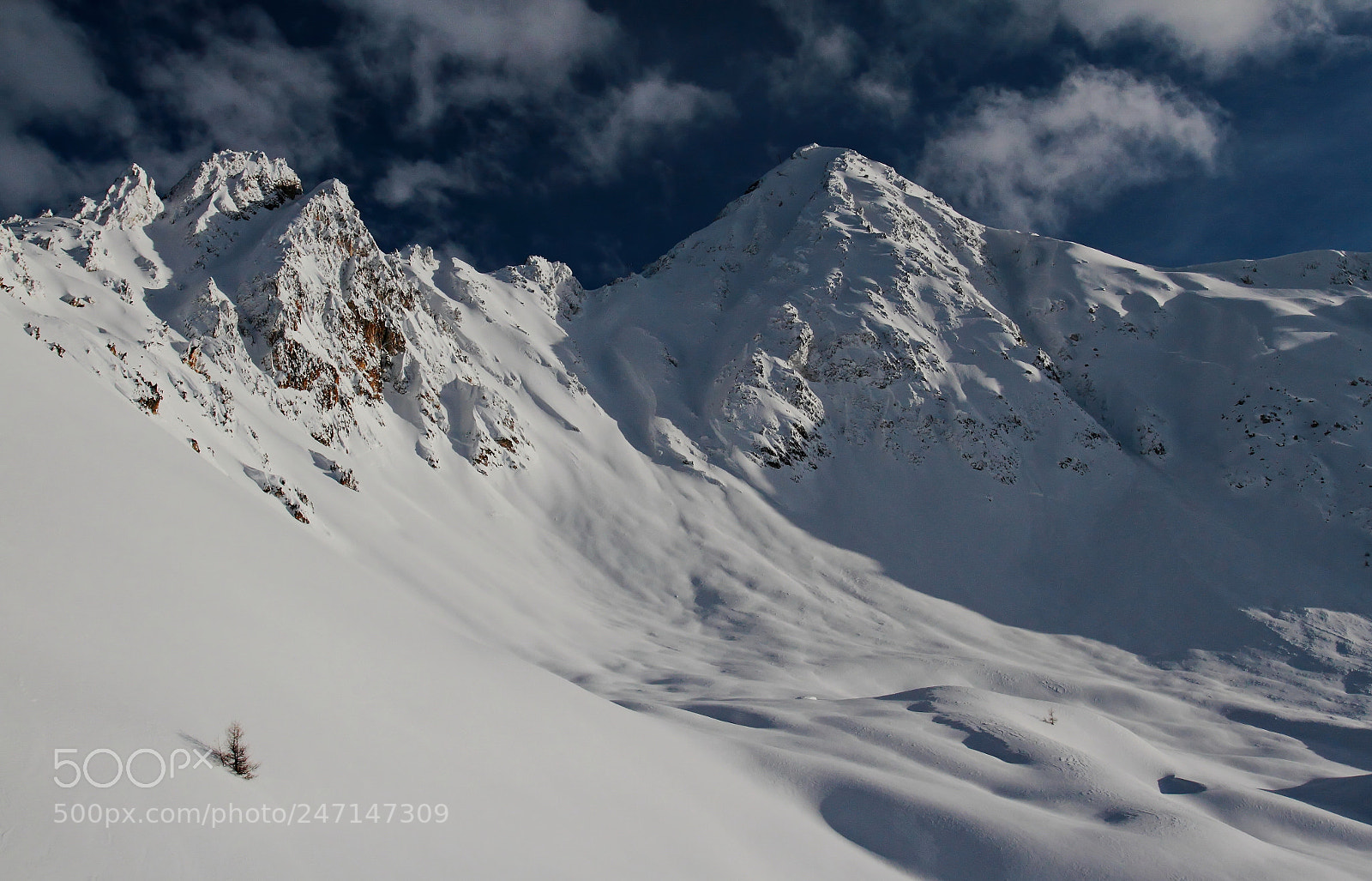 Canon EOS 7D + Canon EF 17-40mm F4L USM sample photo. Lonely tree photography