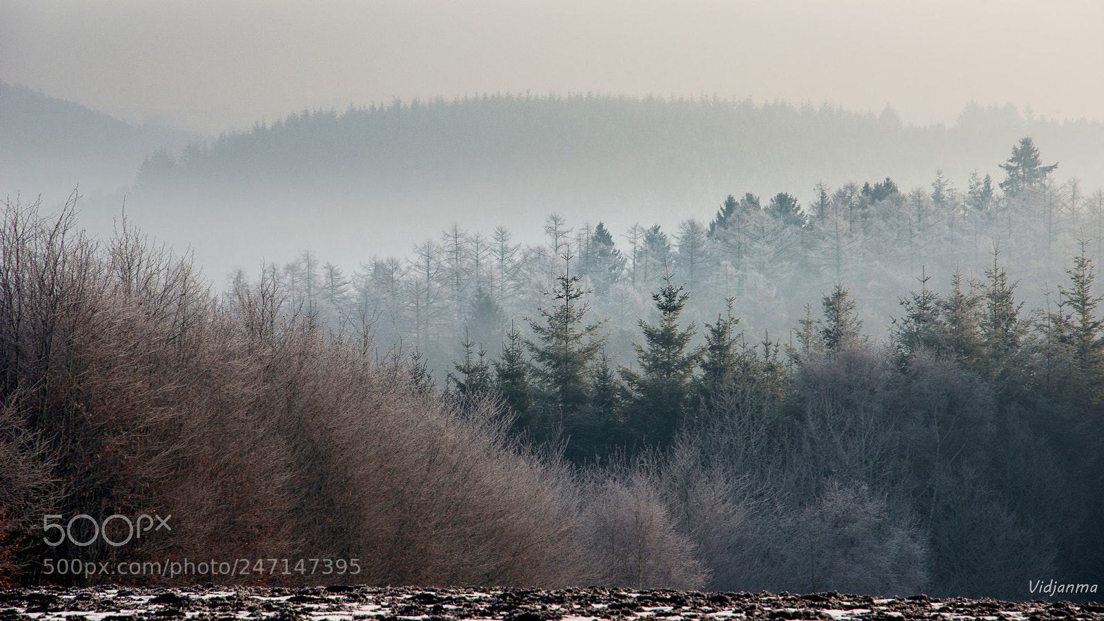 Nikon D610 sample photo. M lange de brumes photography