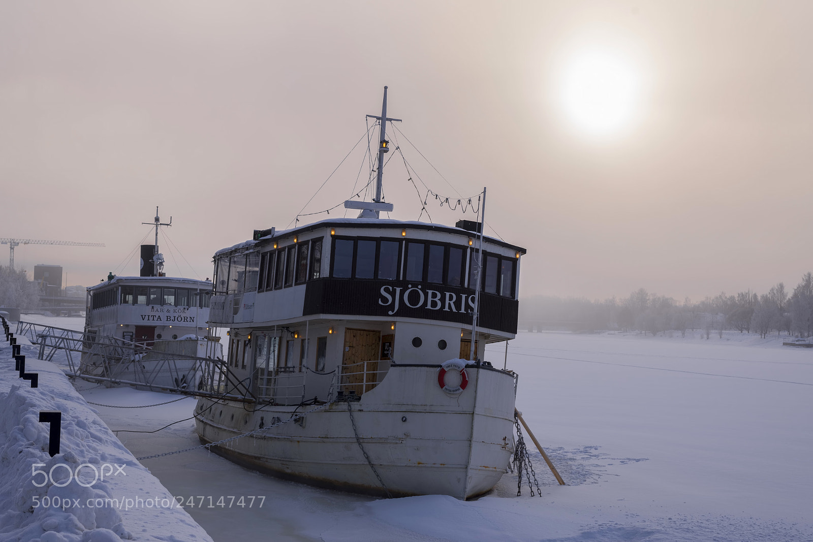 Nikon D610 sample photo. The frozen boats on photography