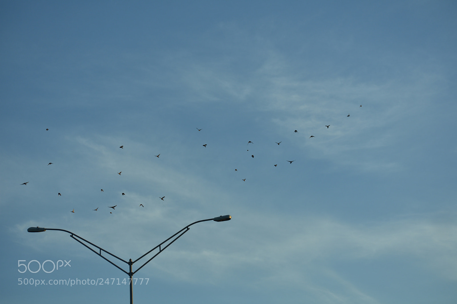 Nikon D3400 sample photo. Flying photography