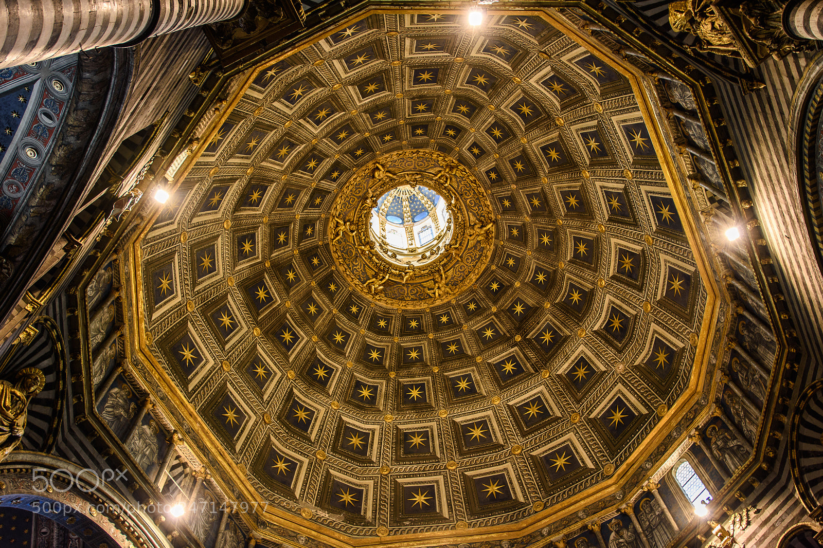 Nikon D7200 sample photo. Enchanted ceiling photography