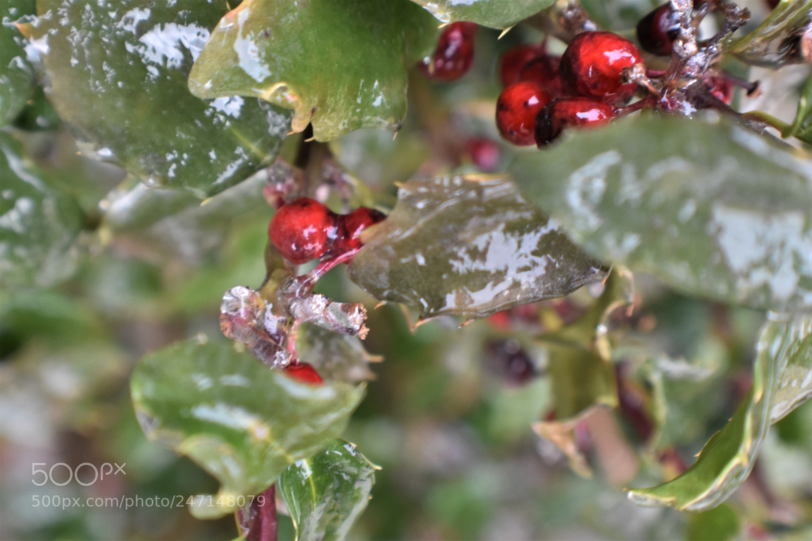 Nikon D3400 sample photo. () photography