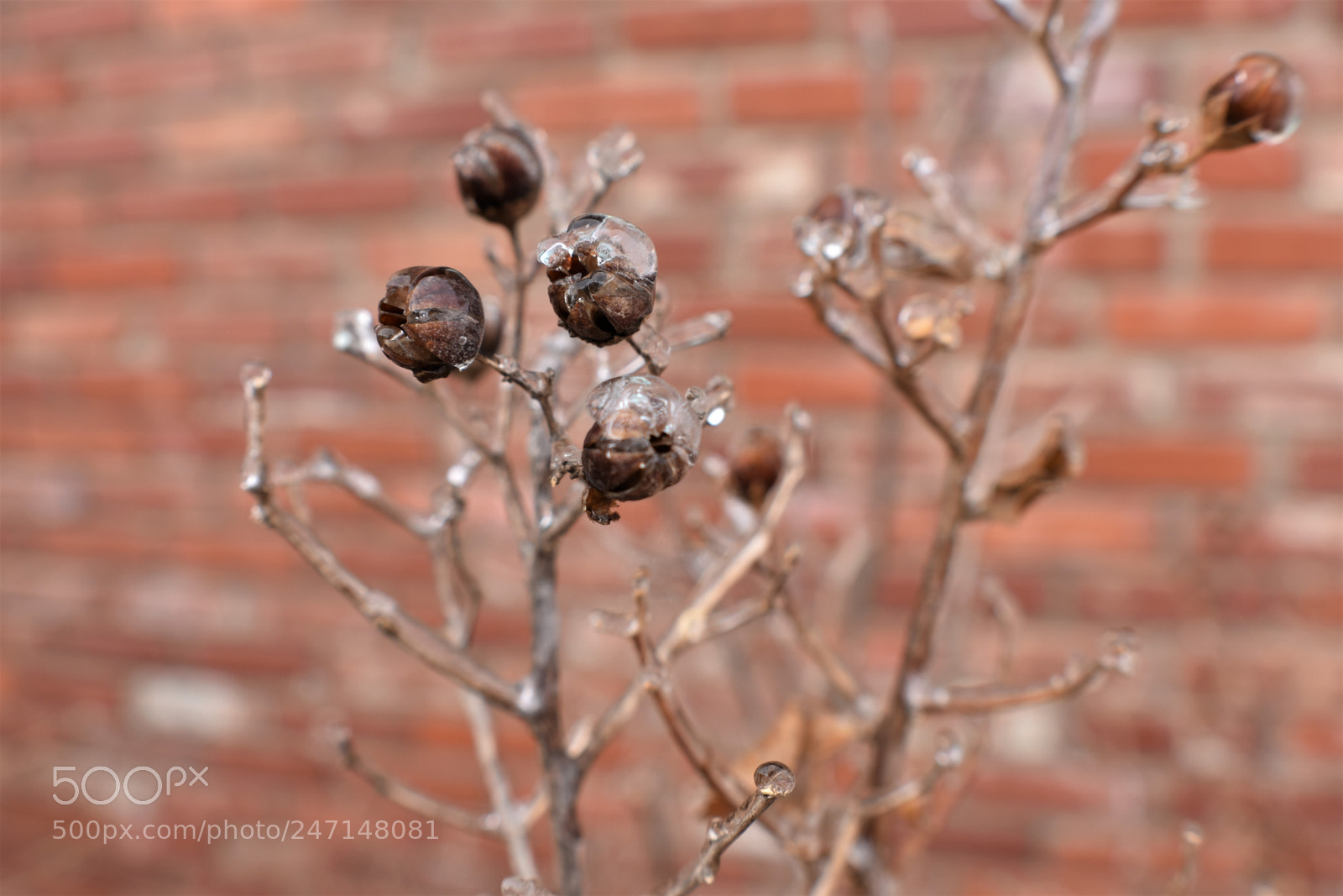 Nikon D3400 sample photo. () photography