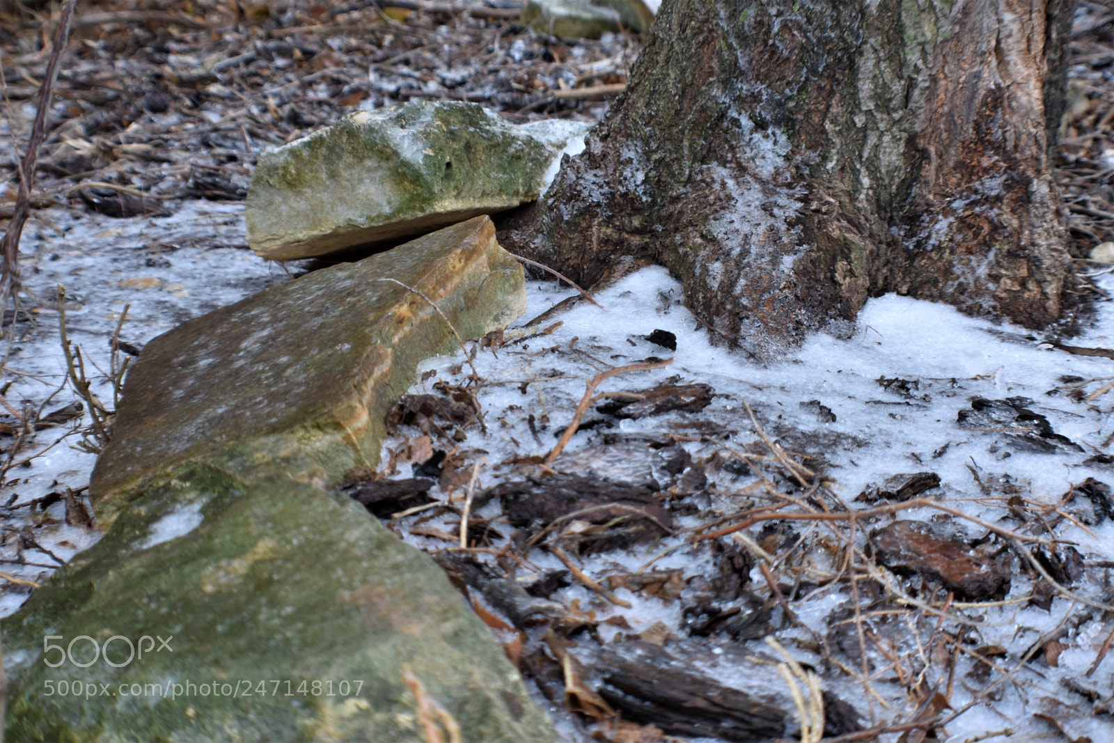 Nikon D3400 sample photo. () photography