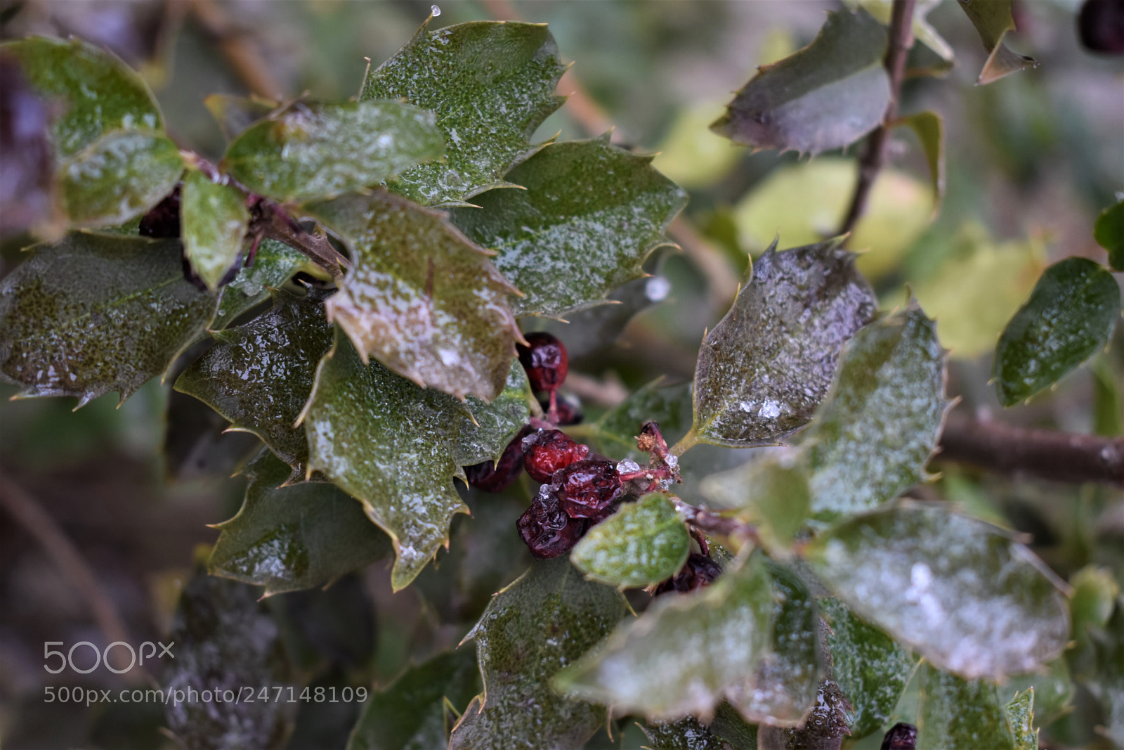 Nikon D3400 sample photo. () photography