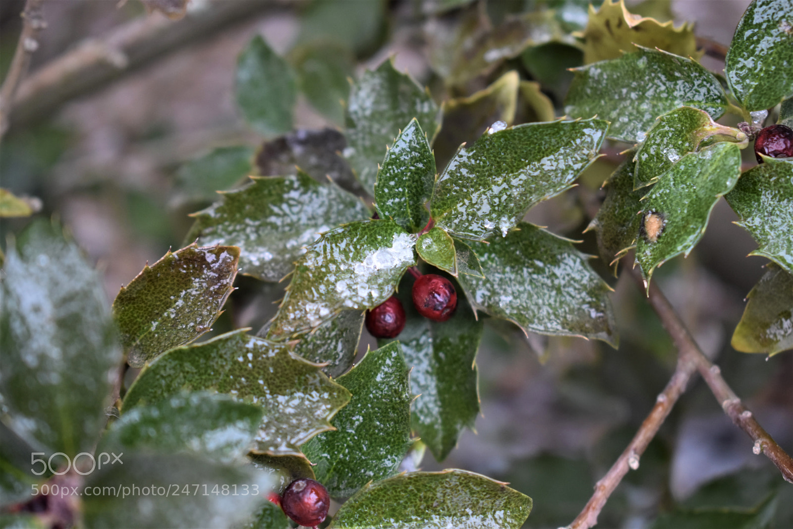 Nikon D3400 sample photo. () photography