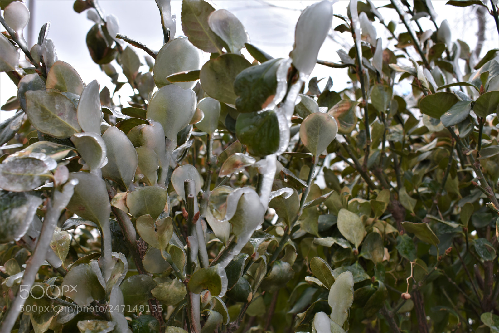 Nikon D3400 sample photo. () photography